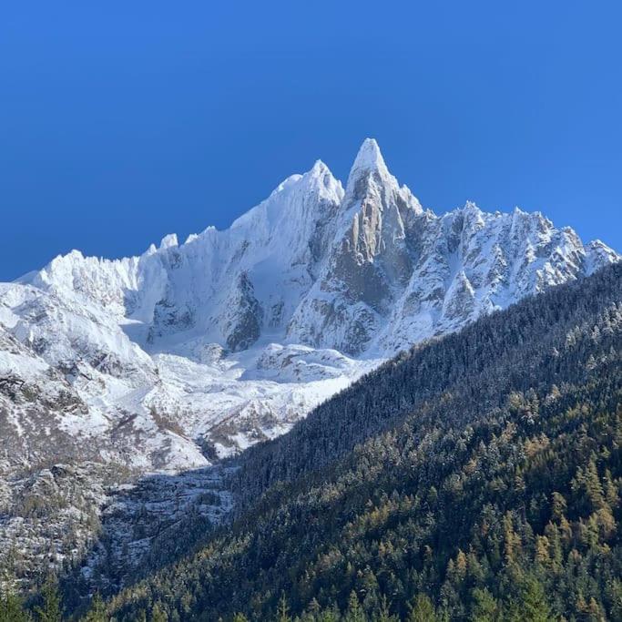 Belle Vue Des Praz Apartment Chamonix ภายนอก รูปภาพ